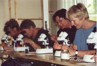 10 eller 30 x forstrrelse bner dren til en anden verden