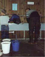 Vaskepladsen kan frit benyttes