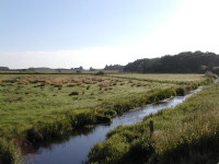 Arn  ved Solvig (26K)