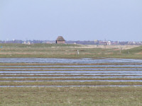 Marsklandskab ved Ballum (16K)