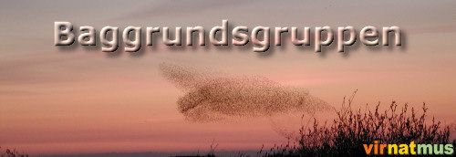 Baggrundsgruppen (39K)