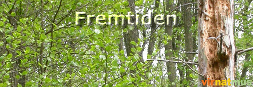 Projektets fremtid (66K)