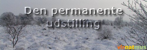 Den permanente udstilling (72K)
