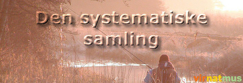 Den systematiske samling (64K)