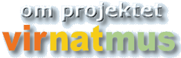 om_projektet (10K)